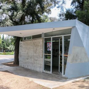 36017651243_f4ca216cc8_z