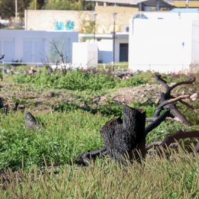 36038330940_da8f19d1f7_z