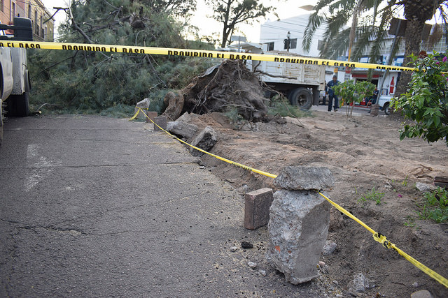 …Y ahora no lo ves