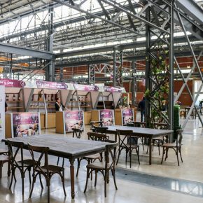 36263150730_ea7e025d14_z