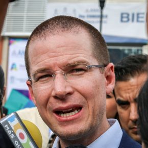 36647145131_3ca43cdca2_z