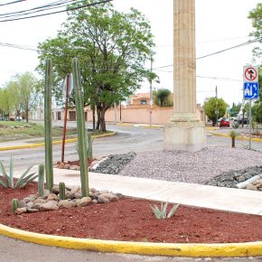 CONTENEDORES VERDES_4