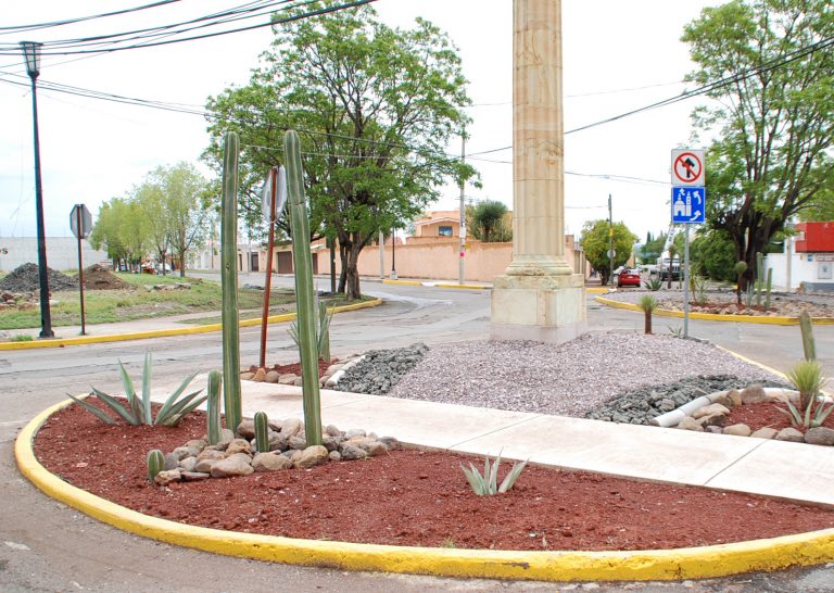 Pretenden utilizar criterios de sustentabilidad en mantenimiento de áreas verdes