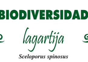 Captura de pantalla 2017-08-12 a la(s) 22.50.56