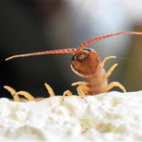 Captura de pantalla 2017-08-27 a la(s) 00.18.33