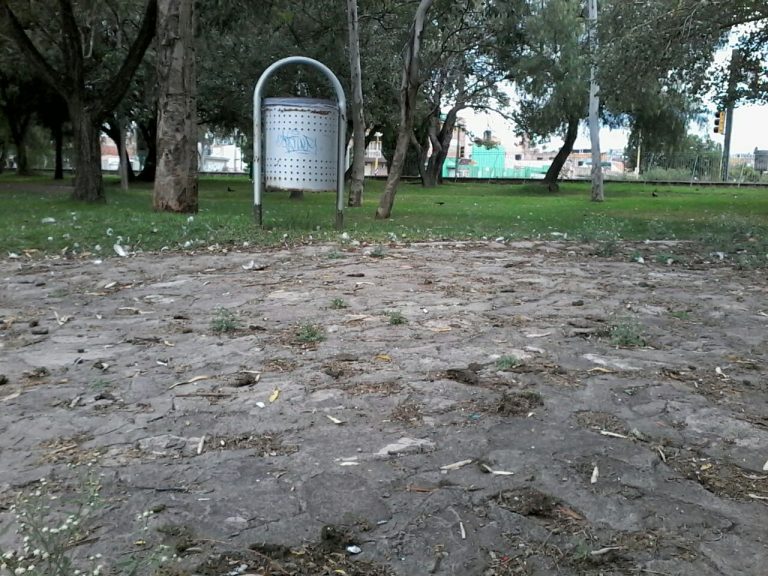 Denuncian contaminación en el Cedazo por exceso de excremento de aves