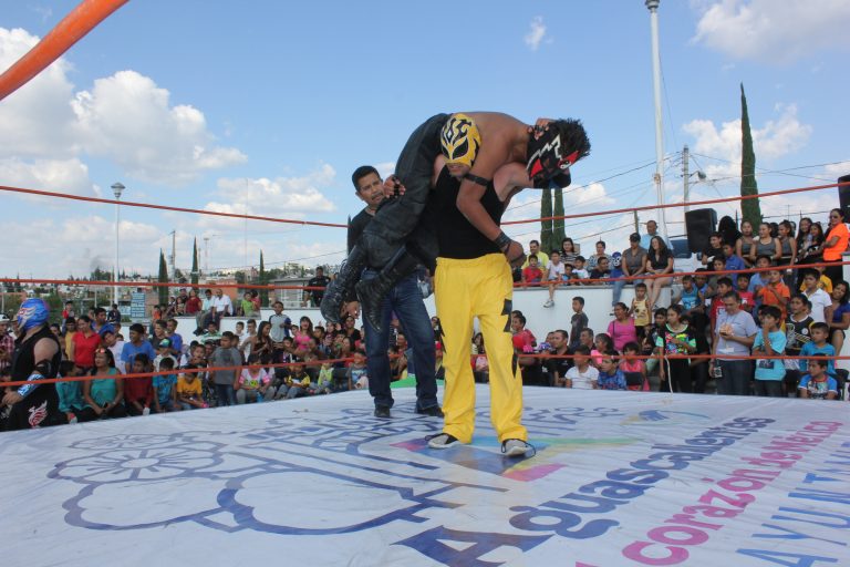 Lucha libre en el mercado de VNSA