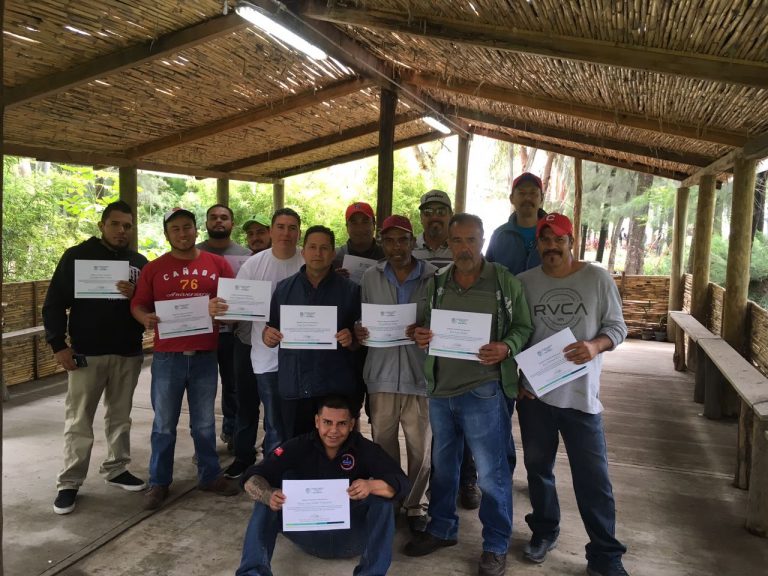 Capacitan a personal de mantenimiento de escuelas normales en jardinería sustentable