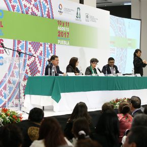 Presentación Manual y Protocolo