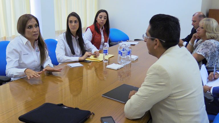 Gestiona DIF estatal apoyos