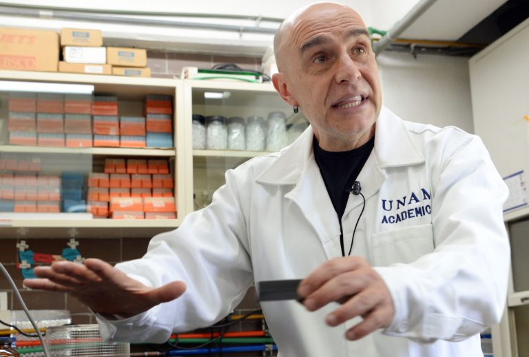 Utilizan “casa de cristal” de virus para guardar y preservar vacunas