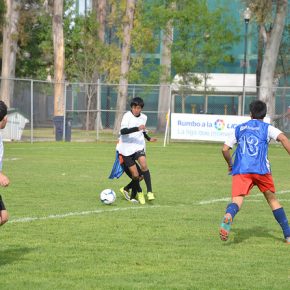 12623644045_36c2632b81_z