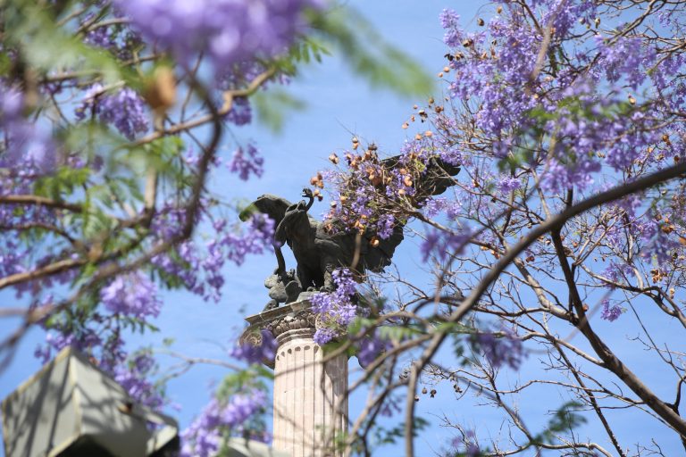 Será Aguascalientes la sede del Centro Global de Estadísticas de Género