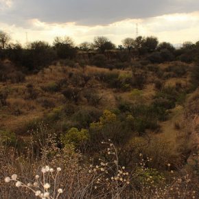 25331392881_0dd5716660_z