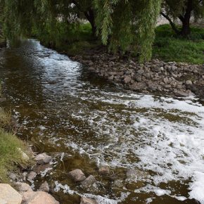 28627207612_a84db6dc89_z