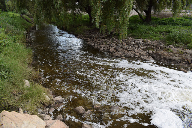 Necesario, dotar de más facultades a la Semadesu