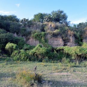 30121414650_5e7db6190e_z