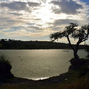 30382235046_31741e891a_z