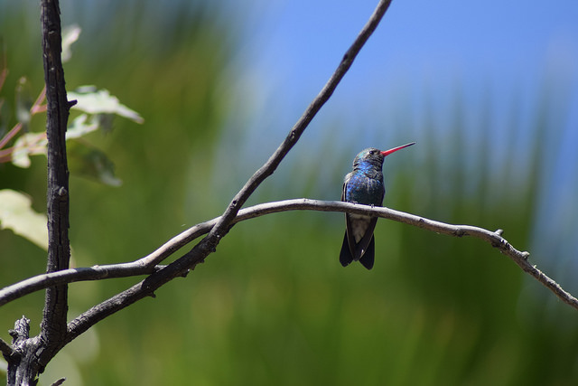 Ayuntamiento firma convenio Carta de la Tierra