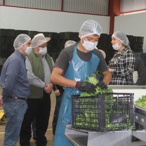 32678530145_21894776ce_z