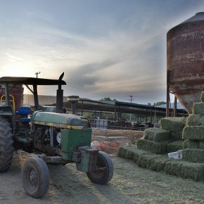 34569918930_df425e1466_z