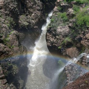 35882436842_f41b1d9ba2_z