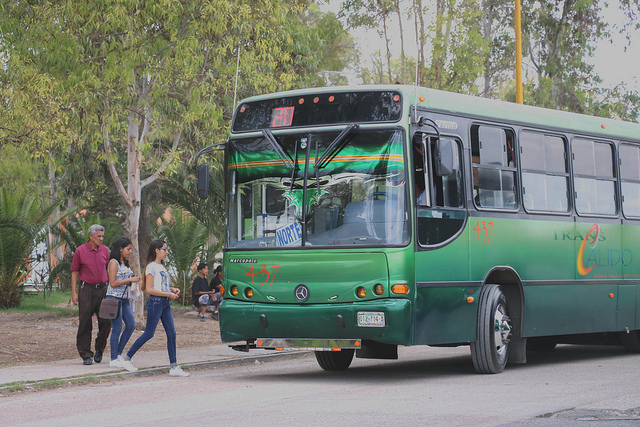 El Pimus o no existe o está integrado con datos ficticios