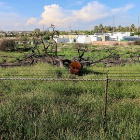 36038334850_7b148ceb4f_z