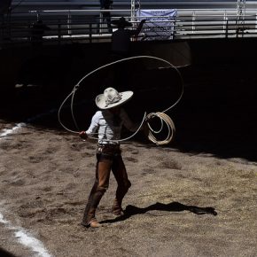 36223374561_98c9824c3e_z