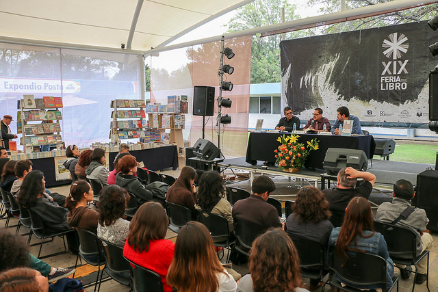 En medio de la coincidencia salvaje de las formas