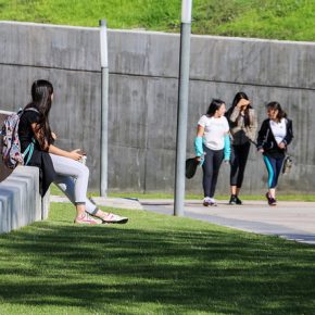 37004373032_e806a9b7fa_z