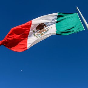 37034145111_b34e1383ce_z