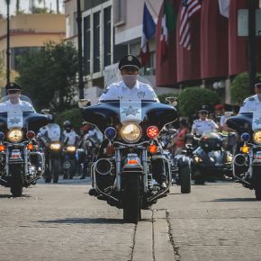 37098098892_b09a0ce1da_z