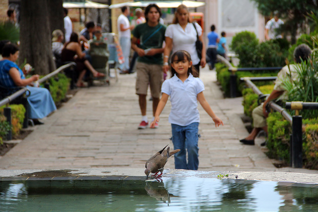 Plantean mejoras en el Barrio de El Encino