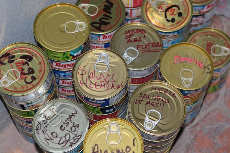 Inicia colecta para damnificados en el Estadio Victoria