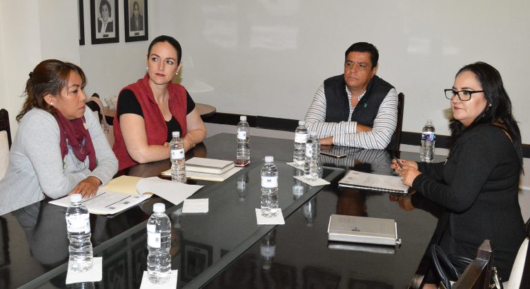 Sesiona la Comisión de Juventud