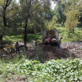 OPERATIVO SMAE-PROESPA (4)