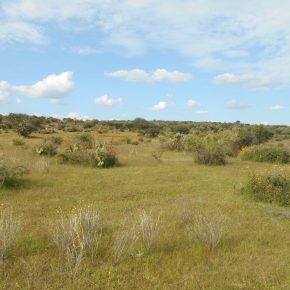 RECORRIDO AGS PROFEPA3