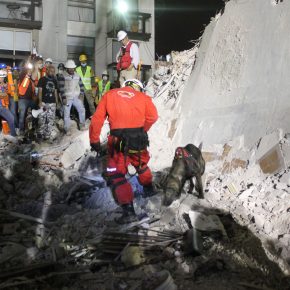 RESCATE BINOMIO CANINO_3