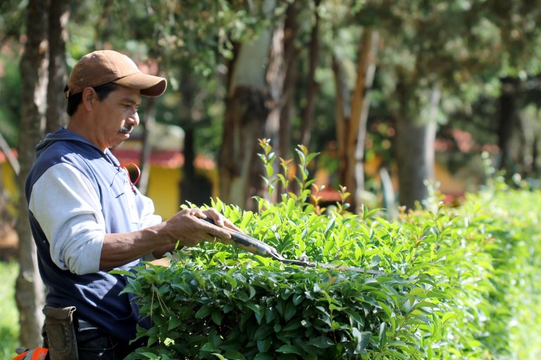 Realizan mantenimiento en instalaciones del Parque Rodolfo Landeros