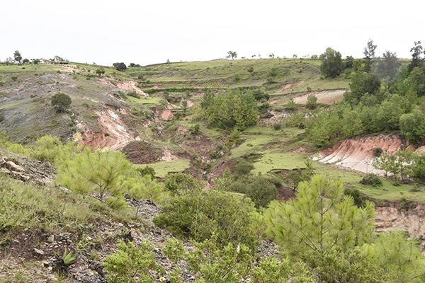 Siete países latinoamericanos desarrollarán sistemas nacionales de información sobre suelos