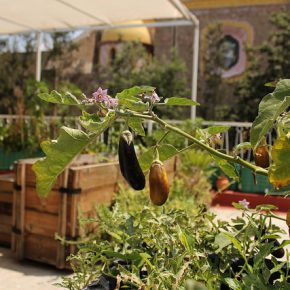 14895666220_bb6be81b6b_z