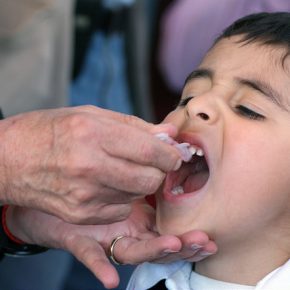 16629924605_c9411a150d_z