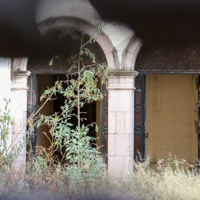 34591865600_6e2c63bd1a_z