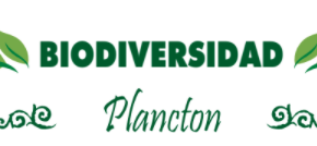 Captura de pantalla 2017-09-30 a la(s) 23.38.35