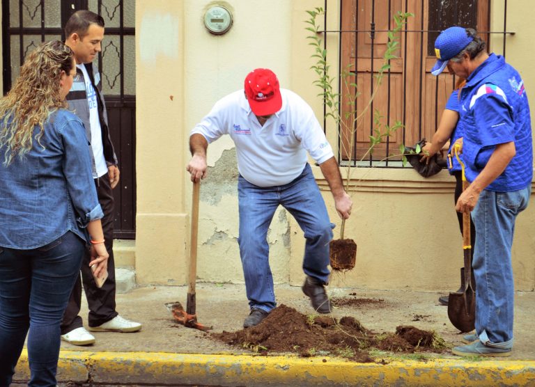 Inicia plantación de árboles en el primer cuadro de la ciudad
