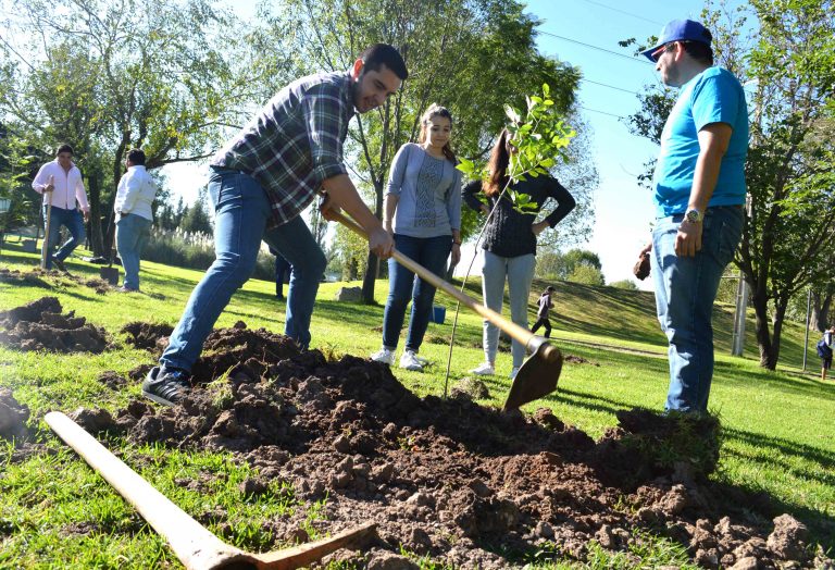 Realizan jornada de reforestación