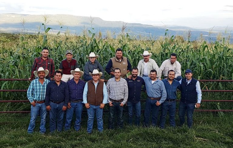 Dan seguimiento a los temas de la planta forrajera