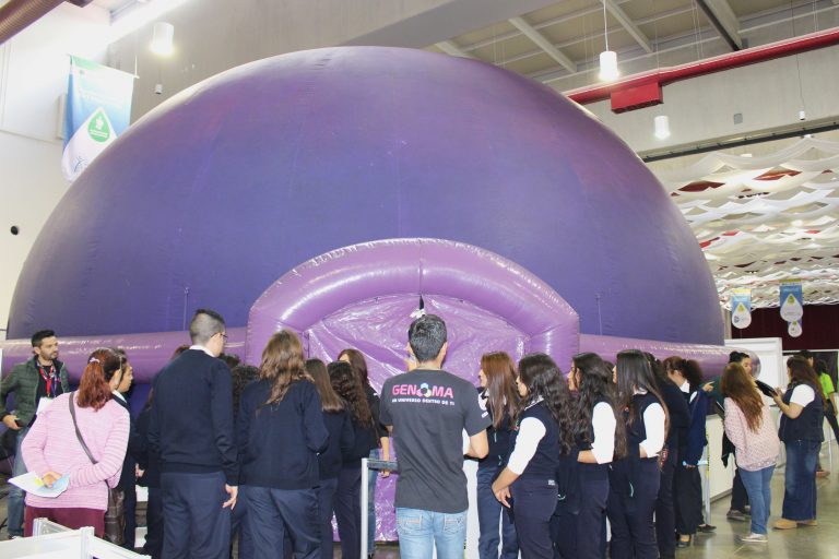 Explican estructura y función del ADN en 3D