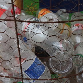 16188877149_469e7ac298_z